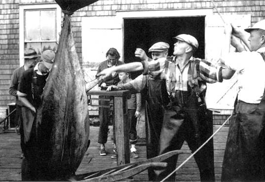 Fishing - Hubbards Heritage Society