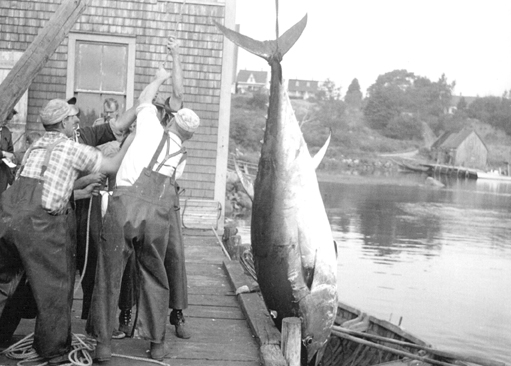 Fishing - Hubbards Heritage Society